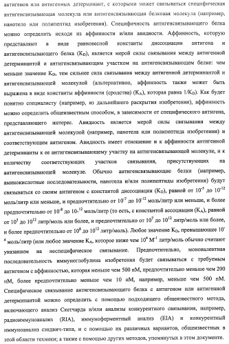 Аминокислотные последовательности, направленные на rank-l, и полипептиды, включающие их, для лечения заболеваний и нарушений костей (патент 2481355)