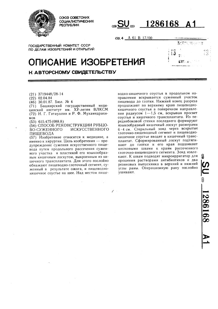 Способ реконструкции рубцово-суженного искусственного пищевода (патент 1286168)