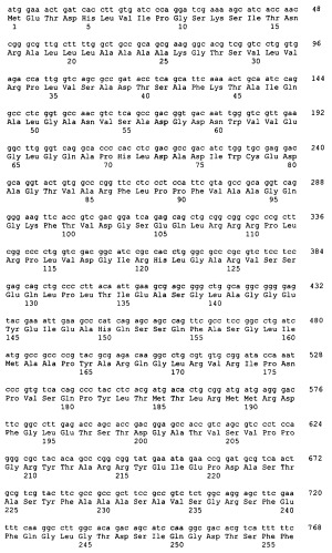 Гены grg23 и grg51, придающие устойчивость к гербицидам (патент 2393225)