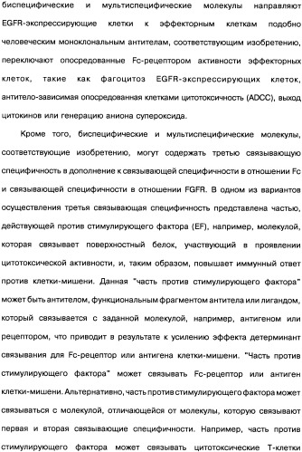 Человеческие моноклональные антитела к рецептору эпидермального фактора роста (egfr), способ их получения и их использование, гибридома, трансфектома, трансгенное животное, экспрессионный вектор (патент 2335507)