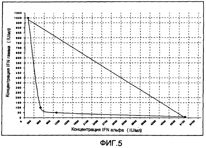 Стабильные фармацевтические составы, которые содержат интерфероны гамма и альфа в синергичных соотношениях (патент 2403057)