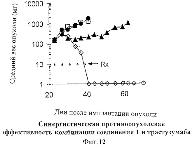 Композиция аналога эпотилона в сочетании с химиотерапевтическими агентами для лечения рака (патент 2321400)