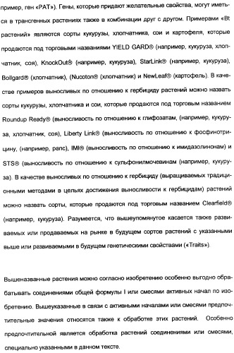 Замещенные тиазолилом карбоциклические 1,3-дионы в качестве средств для борьбы с вредителями (патент 2306310)