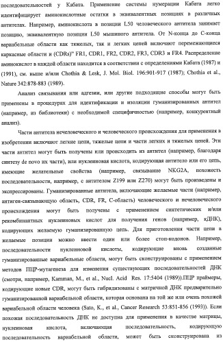 Моноклональные антитела против nkg2a (патент 2481356)