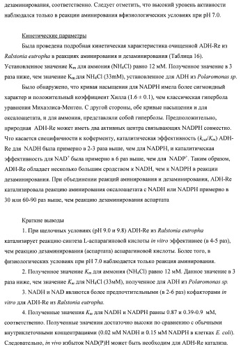 Бактерия семейства enterobacteriaceae - продуцент l-аспарагиновой кислоты или метаболитов, производных l-аспарагиновой кислоты, и способ получения l-аспарагиновой кислоты или метаблитов, производных l-аспарагиновой кислоты (патент 2472853)