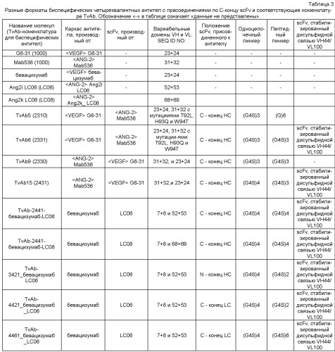 Биспецифические анти-vegf/анти-ang-2 антитела (патент 2542382)