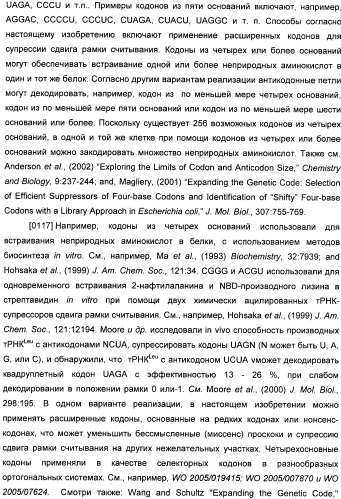 Генетически кодируемые флюоресцентные кумариновые аминокислоты (патент 2473690)