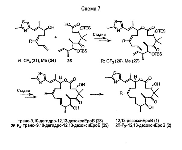 Синтез эпотилонов, их промежуточных продуктов, аналогов и их применения (патент 2462463)