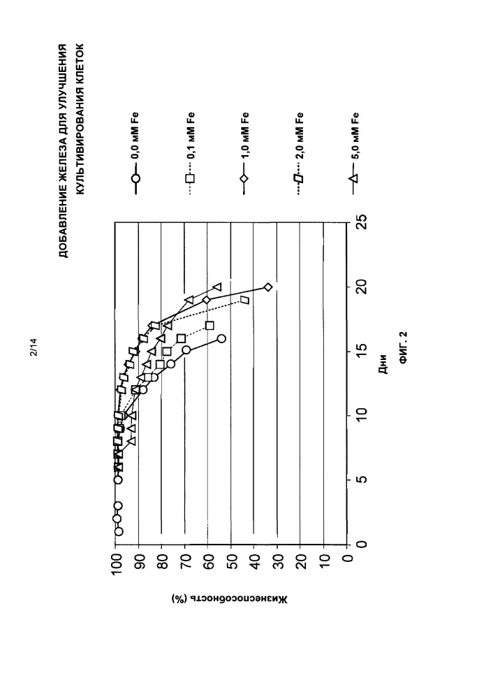 Добавление железа для улучшения культивирования клеток (патент 2663794)