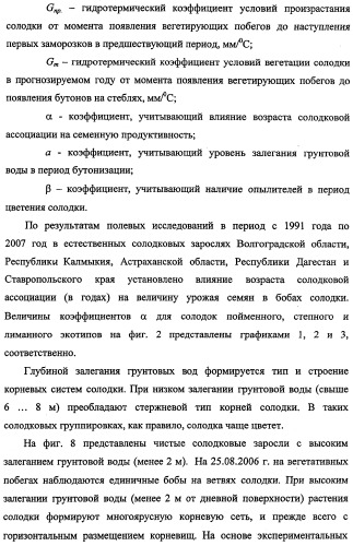 Способ прогнозирования семенной продуктивности солодки голой и солодки уральской сухостепного, лиманного и пойменного экотипов (патент 2360403)