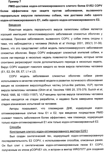 Полинуклеотидная последовательность, кодирующая полипептид вируса папилломы человека, ее применение, а также содержащие ее вектор и фармацевтическая композиция (патент 2354701)