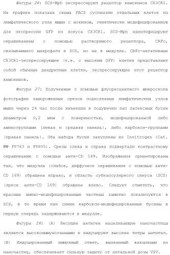 Включение адъюванта в иммунонанотерапевтические средства (патент 2496517)