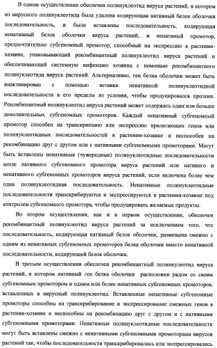 Изолированные полипептиды, кодирующие их полинуклеотиды, экспрессирующие их трансгенные растения и способы их использования (патент 2487166)