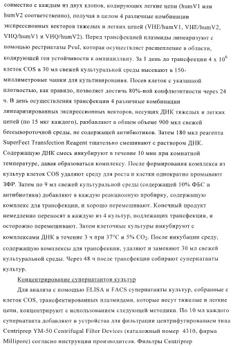 Терапевтические связывающие молекулы в виде химерного антитела (патент 2405790)