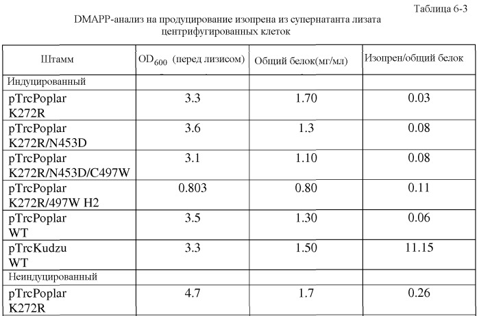 Варианты изопренсинтазы, применяемые для улучшения продуцирования изопрена микроорганизмами (патент 2516343)