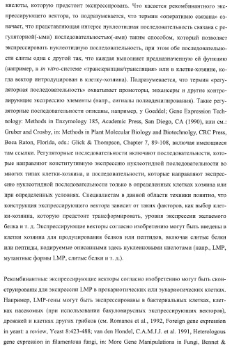 Молекулы нуклеиновых кислот, кодирующие wrinkled1-подобные полипептиды, и способы их применения в растениях (патент 2385347)