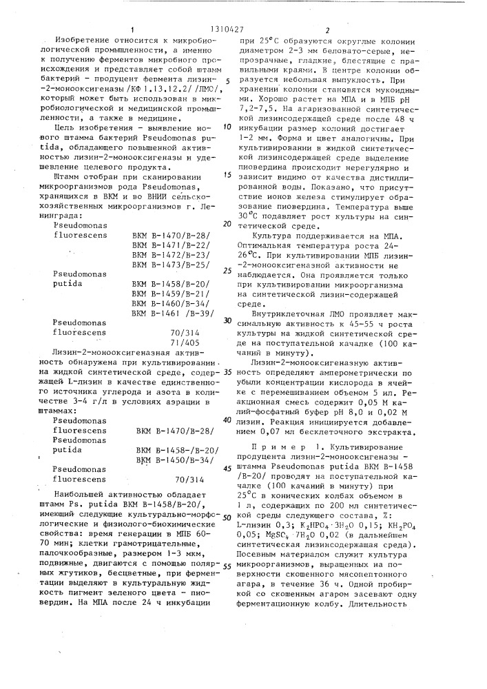 Штамм @ @ вкм в-1458-продуцент лизин-2-монооксигеназы (патент 1310427)