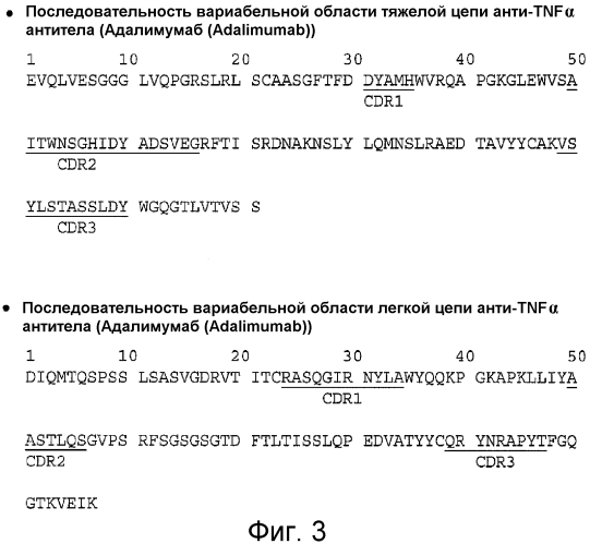 Инактивация вируса при очистке антител (патент 2551237)