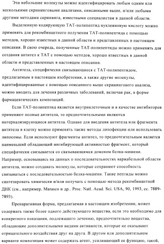 Композиции и способы диагностики и лечения опухоли (патент 2423382)