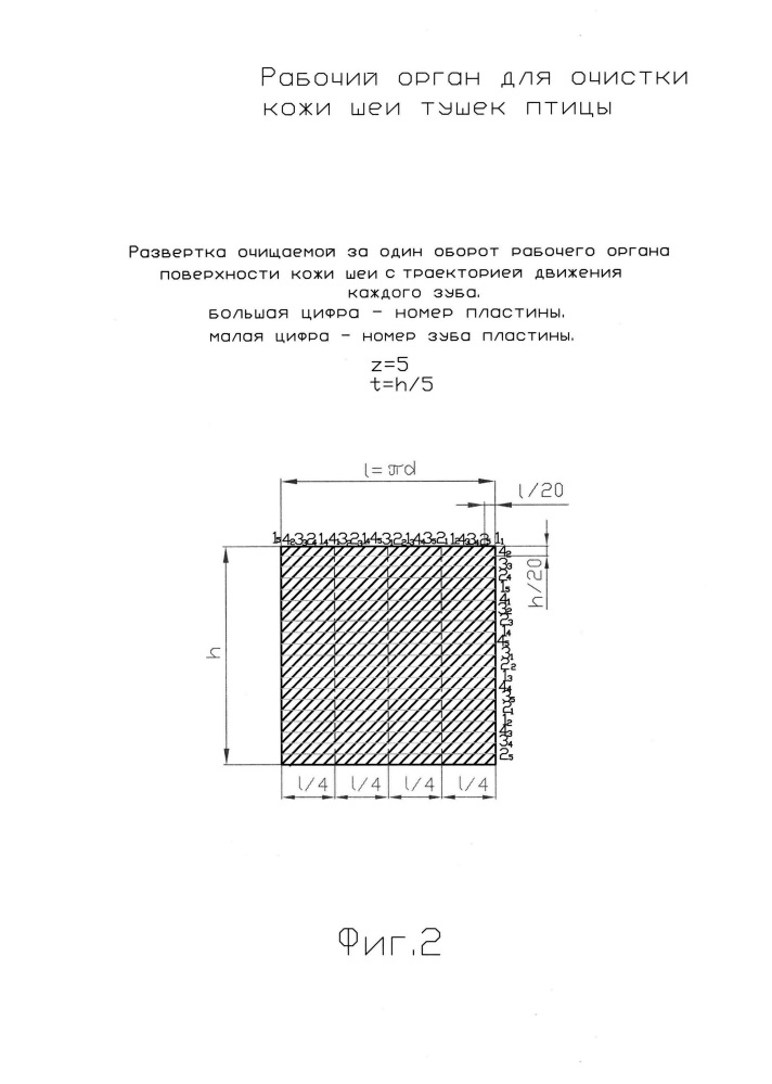 Рабочий орган для очистки кожи шеи тушек птицы (патент 2655936)