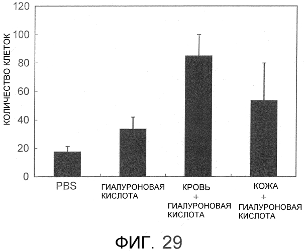 Способ сбора функциональных клеток in vivo с высокой эффективностью (патент 2571230)