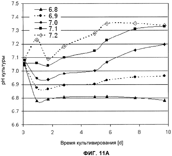 Применение низкой температуры и/или низкого pн в культуре клеток (патент 2478702)