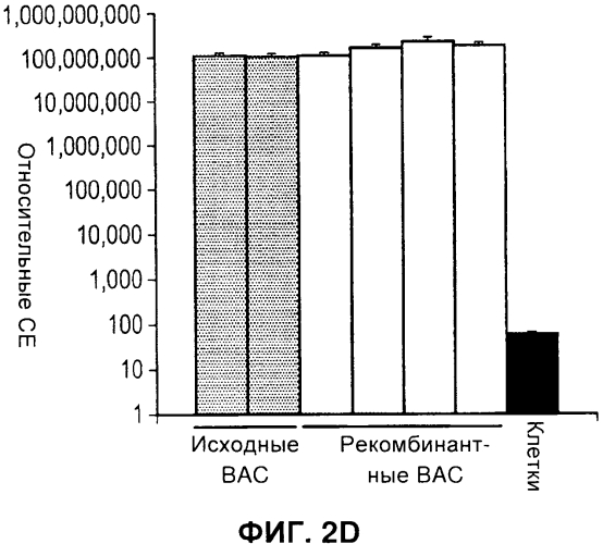 Векторы (патент 2569183)