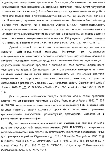 Антитела, связывающиеся с рецепторами kir2dl1,-2,-3 и не связывающиеся с рецептором kir2ds4, и их терапевтическое применение (патент 2410396)