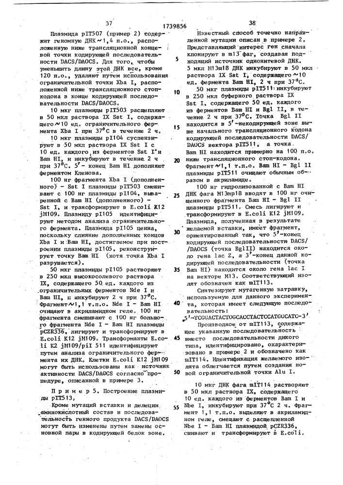 Способ конструирования рекомбинантной плазмидной днк, кодирующей фермент деацетоксицефалоспорин с синтетазу/деацетилцефалоспорин с синтетазу (патент 1739856)