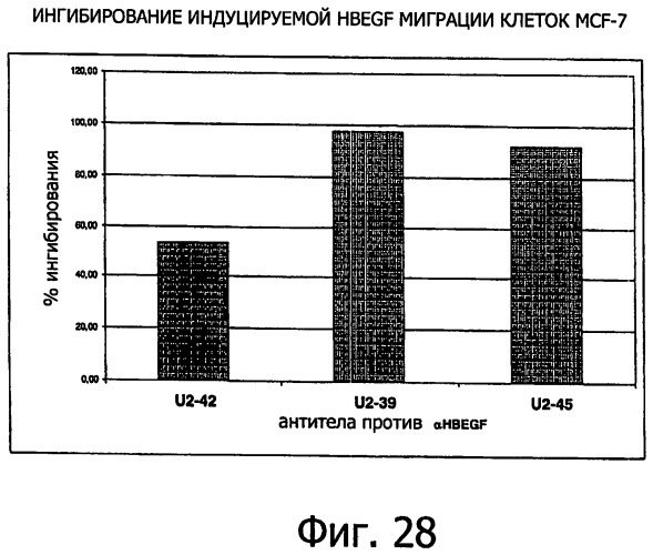 Белки, связывающие антиген фактор роста, подобный гепаринсвязывающему эпидермальному фактору роста (патент 2504551)
