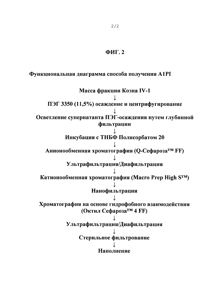 Ингибитор альфа1-протеиназы для задержки начала или прогрессирования легочных обострений (патент 2635482)