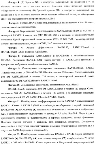 Аминокислотные последовательности, направленные на rank-l, и полипептиды, включающие их, для лечения заболеваний и нарушений костей (патент 2481355)