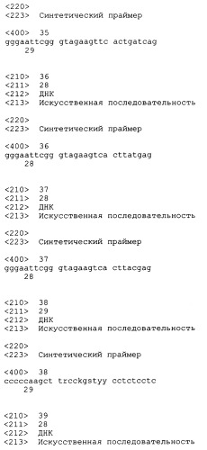 Трансгенные копытные животные, имеющие пониженную активность прионного белка, и их применения (патент 2384059)