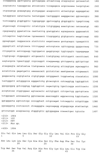 Pscaxcd3, cd19xcd3, c-metxcd3, эндосиалинxcd3, epcamxcd3, igf-1rxcd3 или fap-альфаxcd3 биспецифическое одноцепочечное антитело с межвидовой специфичностью (патент 2547600)