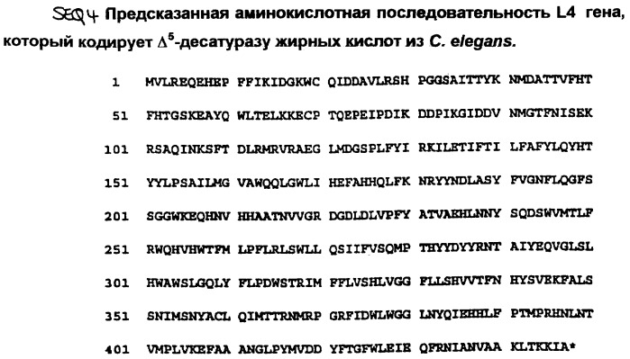 Биологически активная животная  5 - десатураза жирных кислот, кодирующая её последовательность днк, клонирующий и экспрессирующий векторы, содержащие указанную последовательность, способ получения полиненасыщенных жирных кислот, способ превращения дигомо--линоленовой кислоты в арахидоновую кислоту, зонд (варианты) и способ выявления  5 - десатуразы с его использованием (патент 2266330)