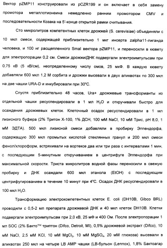 Выделенный полипептид, связывающий рецептор zalpha11-лиганда (варианты), кодирующий его полинуклеотид (варианты), вектор экспрессии (варианты) и клетка-хозяин (варианты) (патент 2346951)