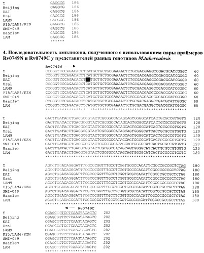 Способ генотипирования штаммов mycobacterium tuberculosis (патент 2547598)