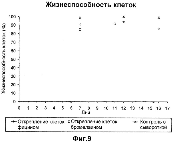 Способ культивирования клеток без компонентов животного происхождения (патент 2369634)