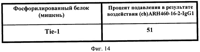 Химерные и гуманизированные антитела к cd44, которые опосредствуют цитотоксичность в отношении раковых клеток (патент 2487723)