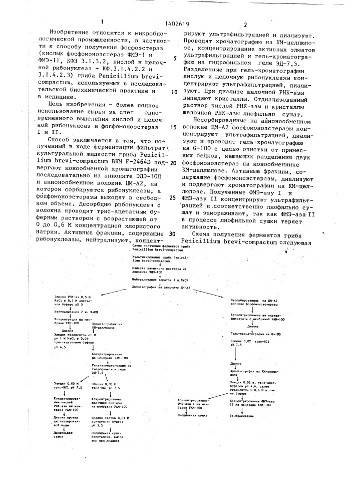 Способ получения фосфоэстераз гриба реniсilliuм вrеvi- сомрастuм (патент 1402619)