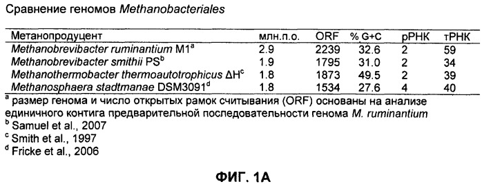 Вакцины и компоненты вакцин для подавления микробных клеток (патент 2528854)