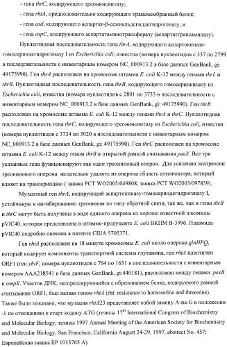 Способ получения l-аминокислот с использованием бактерии, принадлежащей к роду escherichia, в которой инактивирован один или несколько генов, кодирующих малые рнк (патент 2395567)