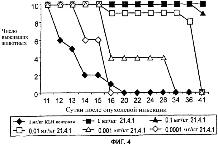 Антитело к cd40: препарат и способы (патент 2355421)