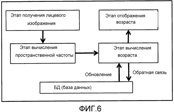 Способ оценки возраста и способ определения пола (патент 2575404)