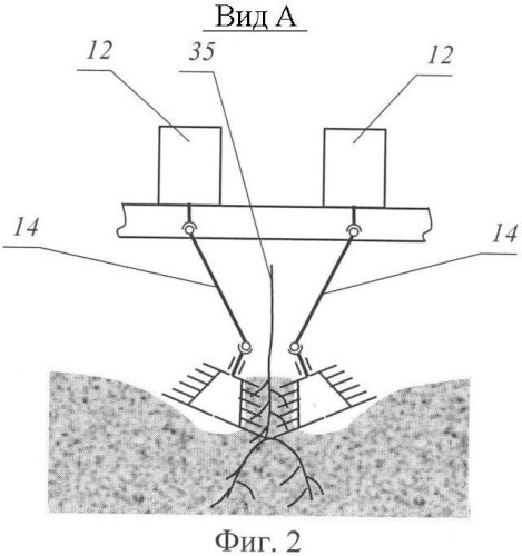 Устройство для раскрытия корневой системы вегетативно размножаемых подвоев (патент 2335110)