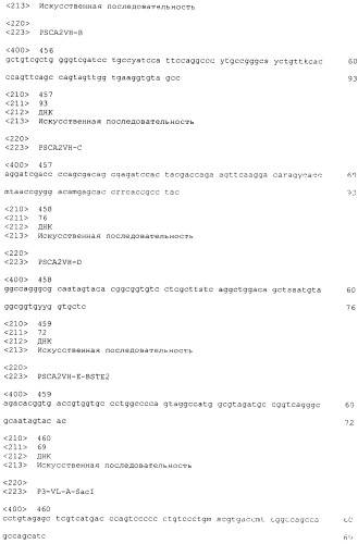 Pscaxcd3, cd19xcd3, c-metxcd3, эндосиалинxcd3, epcamxcd3, igf-1rxcd3 или fap-альфаxcd3 биспецифическое одноцепочечное антитело с межвидовой специфичностью (патент 2547600)