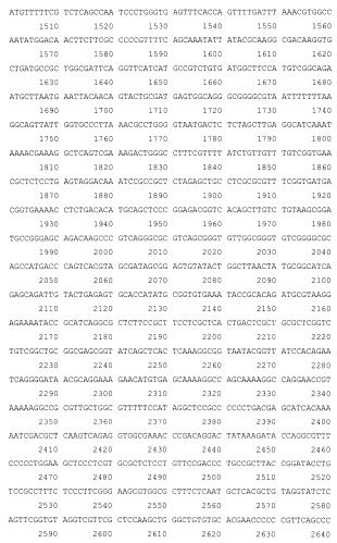 Рекомбинантная плазмида pesat6-cfp10-dbd, рекомбинантный штамм escherichia coli m15 [prep4, pesat6-cfp10-dbd], способ получения, иммобилизации, концентрирования и очистки рекомбинантного белка esat6-cfp10-dbd на декстране, рекомбинантный белок esat6-cfp10-dbd и иммуногенная композиция, содержащая белок esat6-cfp10-dbd (патент 2539026)