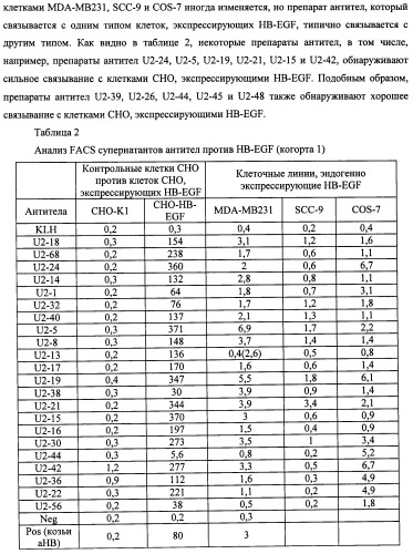 Белки, связывающие антиген фактор роста, подобный гепаринсвязывающему эпидермальному фактору роста (патент 2504551)