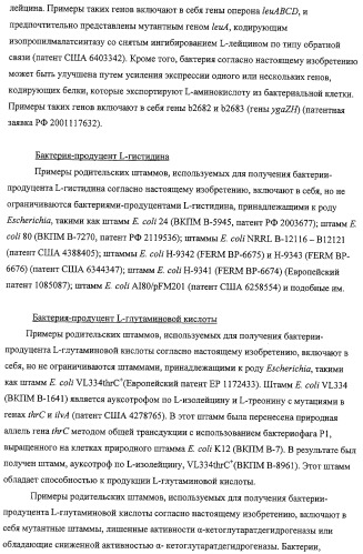 Способ получения l-треонина с использованием бактерии, принадлежащей к роду escherichia, обладающей усиленной экспрессией оперона fucpikur (патент 2318870)