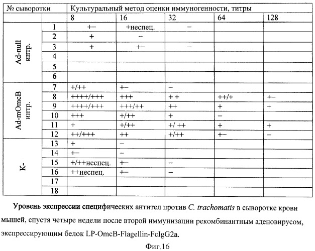 Способ получения рекомбинантной вакцины (патент 2444570)